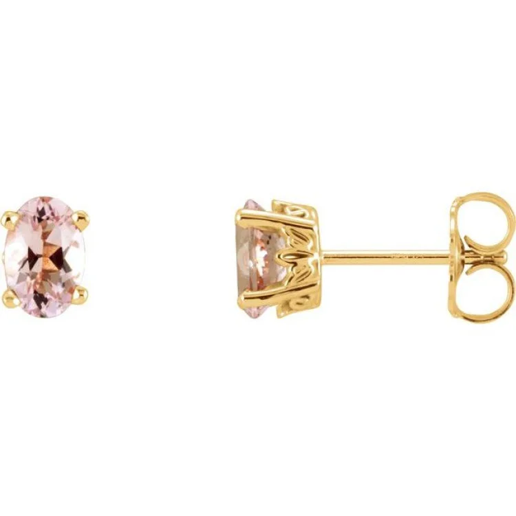 Ladies earrings garnet charm -14K Yellow Natural Pink Morganite Earrings