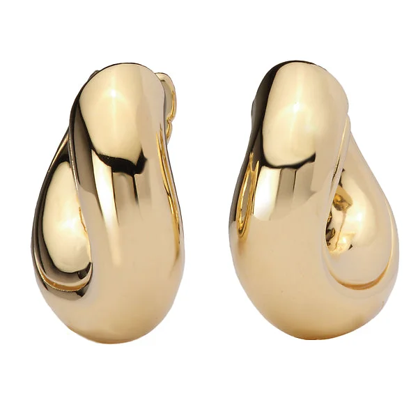 Ladies earrings infinite radiance -Ladies Fashion Hoop Earrings