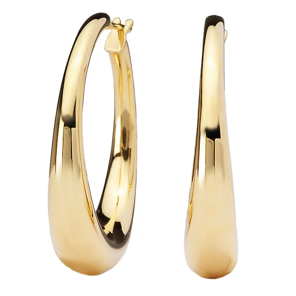 Ladies earrings pre wed glow -Ladies Fashion Hoop Earrings